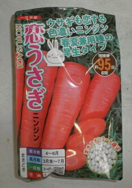 野菜種子　『ナント種苗』　ニンジンたね　恋うさぎ　コート250粒詰　【送料込み】
