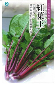 ؎q t_CRugtv8ml^20ml^50ml^2dliێj@y݁zׂɂ͂ xjnIE t卪 ͂ N͔|