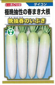 ؎q _CRuӒt̂Ԃv@3ml^10ml^20ml^8,000^R[g200^R|g500^R|g1,000^R|g5,000ig[zNj@y݁z 卪  ΂񂿂イ͂̂