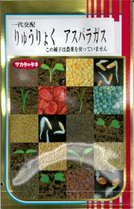 ylCiz؎q AXpKXuイ傭v@100iTJ^̃^lj@y݁z