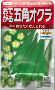 ؎q Ă܊pINus[Nt@Cuv@7mliTJ^̃^lj@y݁z@ H ܊p AJl