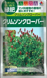 【大人気品種】緑肥種子 クリムソンクローバー「ディクシー」　 60ml（5平米分）（タキイ種苗）　【送料込み】