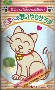 ybgp񔞎qu܂ւ̎vT_v@30gi15cm2`3񕪁jiJlRcjy݁z ˂񂿂̑̃^l L lR  Ck  G GoN L KS200-250