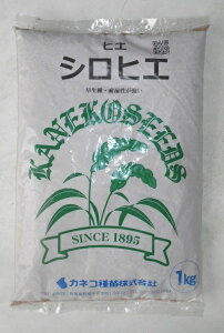 qq qGuVqGv@1kg^25kgiJlRcjy݁zqG Δ  ώ