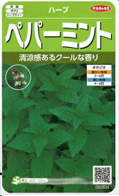 ハーブ種子　『　サカタのタネ　』　ペパーミント　0.2ml袋詰　【　送料込み　】