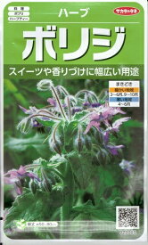 楽天市場 ボリジ 種の通販