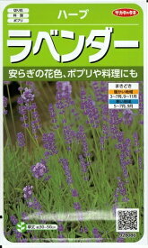 楽天市場 ラベンダー 種の通販