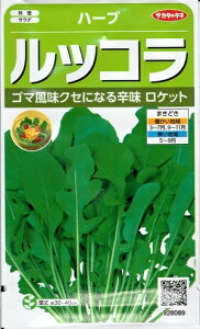 n[uqubRv 2mliTJ^̃^ljy݁z [R Pbg K[fPbg PbgT_ LoiXYV G[J AO