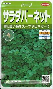 n[uquT_o[lbgv1.9mliTJ^̃^ljy݁zI_RE K[fo[lbg X[o[lbg TM\oE}Ci[ xW^Ãn[u