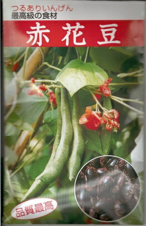 楽天市場 野菜種子 つるありインゲンたね 佐藤政行種苗 赤花豆 おたふく ５０ｍｌ袋詰 送料無料 鈴乃園 楽天市場店