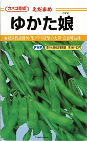 野菜種子 エダマメ「ゆかた娘」　100粒／200粒／2,000粒（カネコ種苗）【送料込み】　 ゆかたむすめ ユカタムスメ 浴衣娘 茶豆風味枝豆 えだまめ 中生 白毛 多収 農林水産省登録品種
