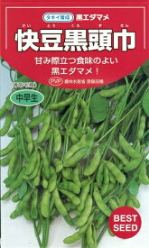 野菜種子　『タキイ種苗』　黒えだまめ種子　快豆黒頭巾　35ml詰(約58粒)／90ml詰／1L詰　農林水産省登録品種　【送料込み】