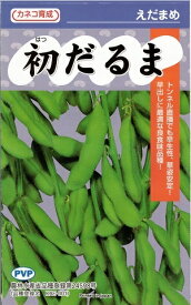 野菜種子　『カネコ種苗』　えだまめ種子　初だるま　100粒詰／200粒詰／1000粒詰　極早生　農林水産省登録品種　(品種名　KAE-001)　【送料込み】