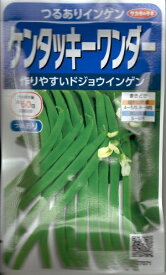 野菜種子　『サカタのタネ』　つるありインゲン種子　　ケンタッキーワンダー　30ml詰(約55粒)／1L詰　【送料込み】