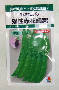 ؎q LkTGhEu␫ԉԌ䰁v@18mli^LCcj@y݁z킢΂Ȃʂ CZCAJoiLkT 䰂ǂ܂ GhE Ȃ 