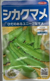 野菜種子　豆種　『　サカタのタネ　』　シカクマメ　10ml袋詰(約15本分)　【送料込み】