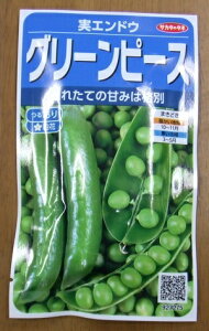 ؎q O[s[XuGhEv@ 30mli60{jiTJ^̃^ljy݁z氓 ǂ܂ h{