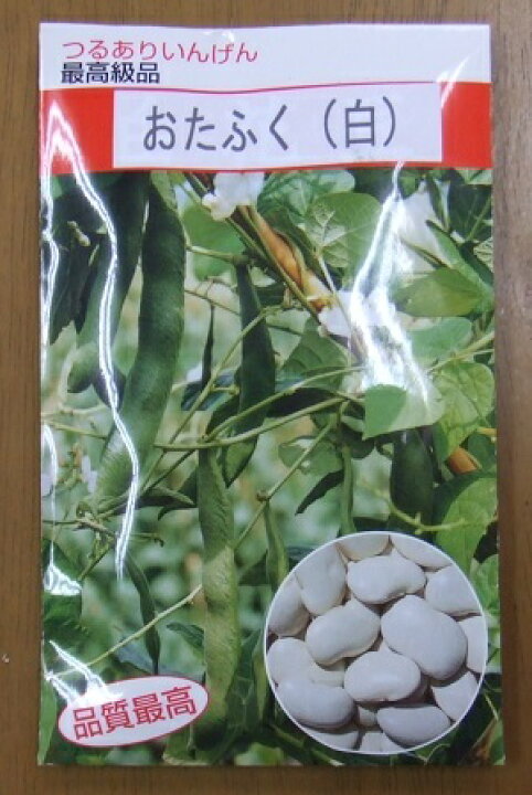 楽天市場 野菜種子 つるありインゲンたね 佐藤政行種苗 白花豆 おたふく ５０ｍｌ袋詰 送料無料 鈴乃園 楽天市場店