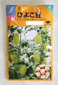 野菜種子　「中原採種場」　ひよこ豆　40ml袋詰　【送料込み】