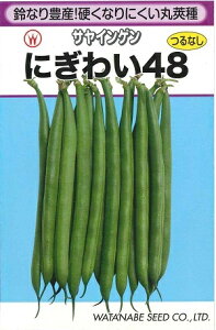 ؎q ȂCQuɂ킢48v@48^200^2,000inӍ̎j@y݁z