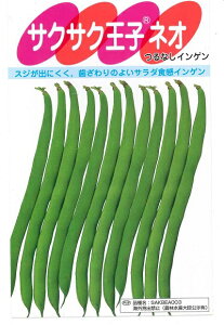 ؎q ȂCQuTNTNqlIv20ml^1dl^1LiTJ^̃^ljy݁z@˂ TNTNIEWlI XibN񂰂 B 񂰂܂ PVP_ѐY