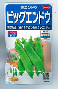 ؎q 䰃GhEurbOGhEv20mliTJ^̃^ljy݁z rbNGhE ւ wh ₦ǂ 氓 ǂ܂ Ȃ c ƒ؉