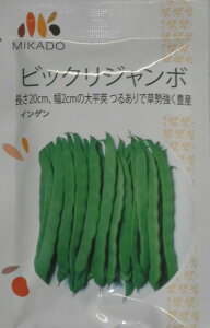 ؎q CQurbNW{v@30mliB݂ǁj@y݁z