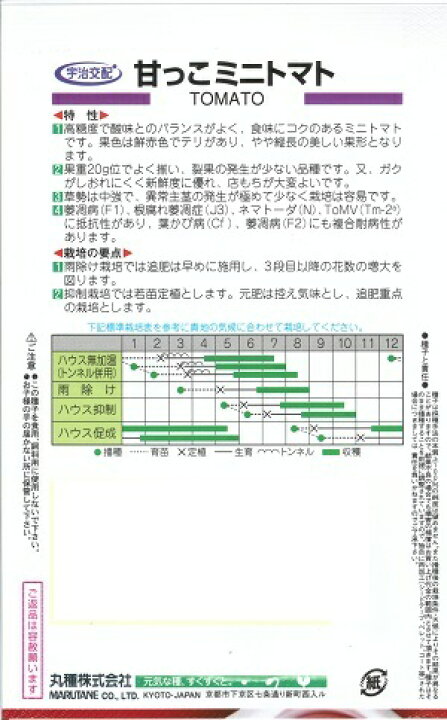 楽天市場 野菜種子 丸種株式会社 ミニトマト種子 甘っこ 20粒袋詰 送料無料 鈴乃園 楽天市場店 楽天市場 野菜種子 丸種株式会社 ミニトマト種子 甘っこ 20粒袋詰 送料無料 鈴乃園 楽天市場店