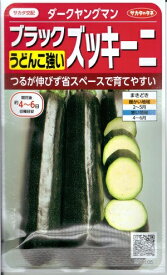楽天市場 ブラック ズッキーニの通販 楽天市場 ブラック ズッキーニの通販