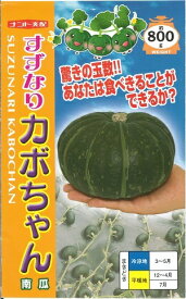 野菜種子 カボチャ「すずなりカボちゃん」　6粒／30粒／50粒／100粒（ナント種苗）　【送料込み】 すずなりかぼちゃん 南瓜 かぼちゃ 収量性抜群 ミディーサイズ 省スペース栽培 家庭菜園 極早生