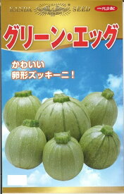 野菜種子 卵形ズッキーニ「グリーン・エッグ」10粒／30粒／50粒／100粒（神田育種農場）【送料込み】 グリーンエッグ 瓜 うり ウリ つるなし 家庭菜園 直売所向き 多収