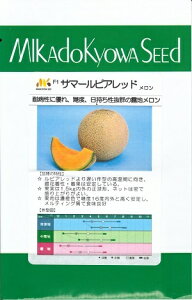 ؎q uT}[sAbhv@8^100iB݂ǁjy݁z[Z }NE ߂ Z   GiQ