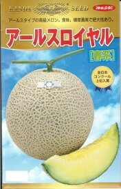 【人気品種】野菜種子 アールスメロン「アールスロイヤル 春系」 7粒／50粒／100粒（神田育種農場）【送料込み】 めろん ネットメロン アールスタイプ フルーツ 果物