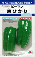 野菜種子 ピーマン「京ひかり」27粒／100粒／500粒／1,000粒（タキイ種苗）【送料込み】 きょうひかり キ…