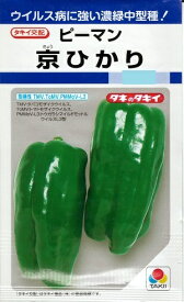 野菜種子 ピーマン「京ひかり」27粒／100粒／500粒／1,000粒（タキイ種苗）【送料込み】 きょうひかり キョウヒカリ 耐病性 肥大性 家庭菜園 夏秋どり 中型 トンネル・露地栽培
