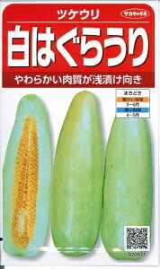 ؎q cPEu͂炤v@2mli40{jiTJ^̃^lj@y݁z@ЂZ  Z 낤 Z ܂