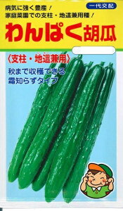 ؎q LEuςӉZv@30i^LCcj@y݁zςイ ƒ؉ xEnp 