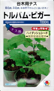 ؎q iXp؁ugoErK[v@1,000i^LCcjy݁z gorK[ nC_bVV[h ֎q Ȃ _CM ϕa