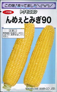 ؎q gERVu߂Ƃ݂90v@40inӍ̎j@y݁z߂Ƃ݂90 Ƃ낱 ɗǎ Ö 