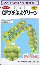 野菜種子 超薄皮ミニトマト「CFプチぷよグリーン」　7粒／100粒／1,000粒（渡辺採種場）【送料込み】 しーえふぷちぷよぐりーん シーエフプチプヨグリーン 高糖度 葉かび病抵抗性
