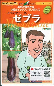 野菜種子　『トキタ種苗』　ナス種子　メランツァーネ　ゼブラ　8粒袋詰　【送料込み】