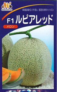 ؎q ԓlbgusAbhv@8^100iB݂ǁj@y݁z[Z }NE ߂ ԓ tEH엧͔̍| n͔| ƒ؉