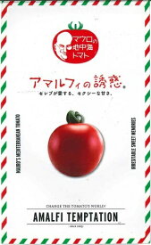 野菜種子　中玉トマトたね　『パイオニアエコサイエンス』　マウロの地中海トマト　アマルフィーの誘惑　8粒袋詰　【送料込み】