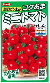 野菜種子 コクあまミニトマト「キャロルパッション」　12粒（サカタのタネ）　【送料込み】