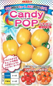 野菜種子 ベル型ミニトマト「CandyPOP シトロン」7粒/100粒(ナント種苗) 【送料込み】 キャンディポップシトロン クリスピー 耐病性 低酸味 早生