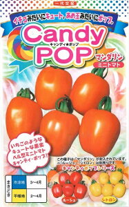 ؎q x^~jg}guCandyPop }_v7^100iigcj@y݁zLfB|bv}_ NXs[ ϕa _