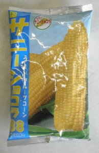 野菜種子 フルーツコーン「サニーショコラ88」 100粒/200粒/500粒/2,000粒(ヴィルモランみかど)【送料込み】 とうもろこし トウモロコシ イエロー 88日型 大型