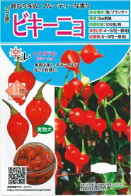 野菜種子　トウガラシたね　『トキタ種苗』　ビキーニョ　20粒袋詰　【送料込み】　辛コレ　