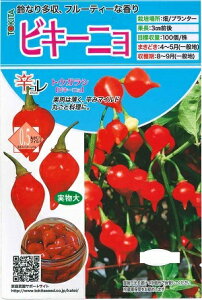 ؎q gEKVuL[jv@20igL^cj@y݁zhq Ƃ炵 hR v^[͔|