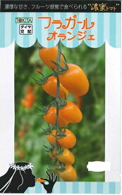 野菜種子　ミニトマトたね　『トキタ種苗』　フラガール オランジュ　8粒袋詰　【送料込み】　濃密トマト　オレンジ色　楕円